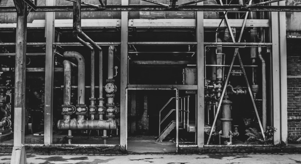 Services Services 1 2 pexels_alessandro_oliverio_1472237