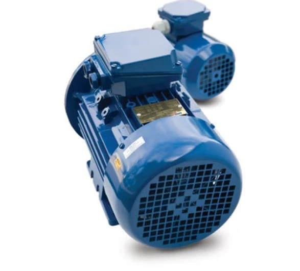 Motors Elektrim Motors 2 ~blog/2025/6/9/metric_iec_motors